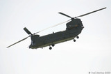 A8V7265 Chinook